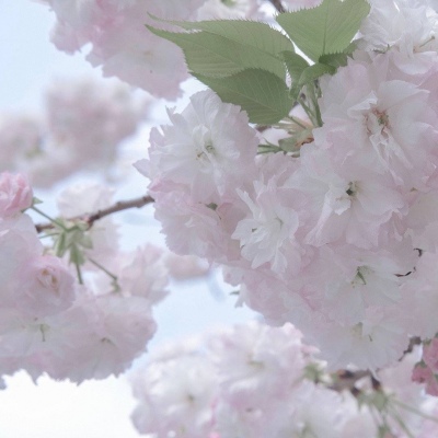 Furry插画创意构思思路兽圈群